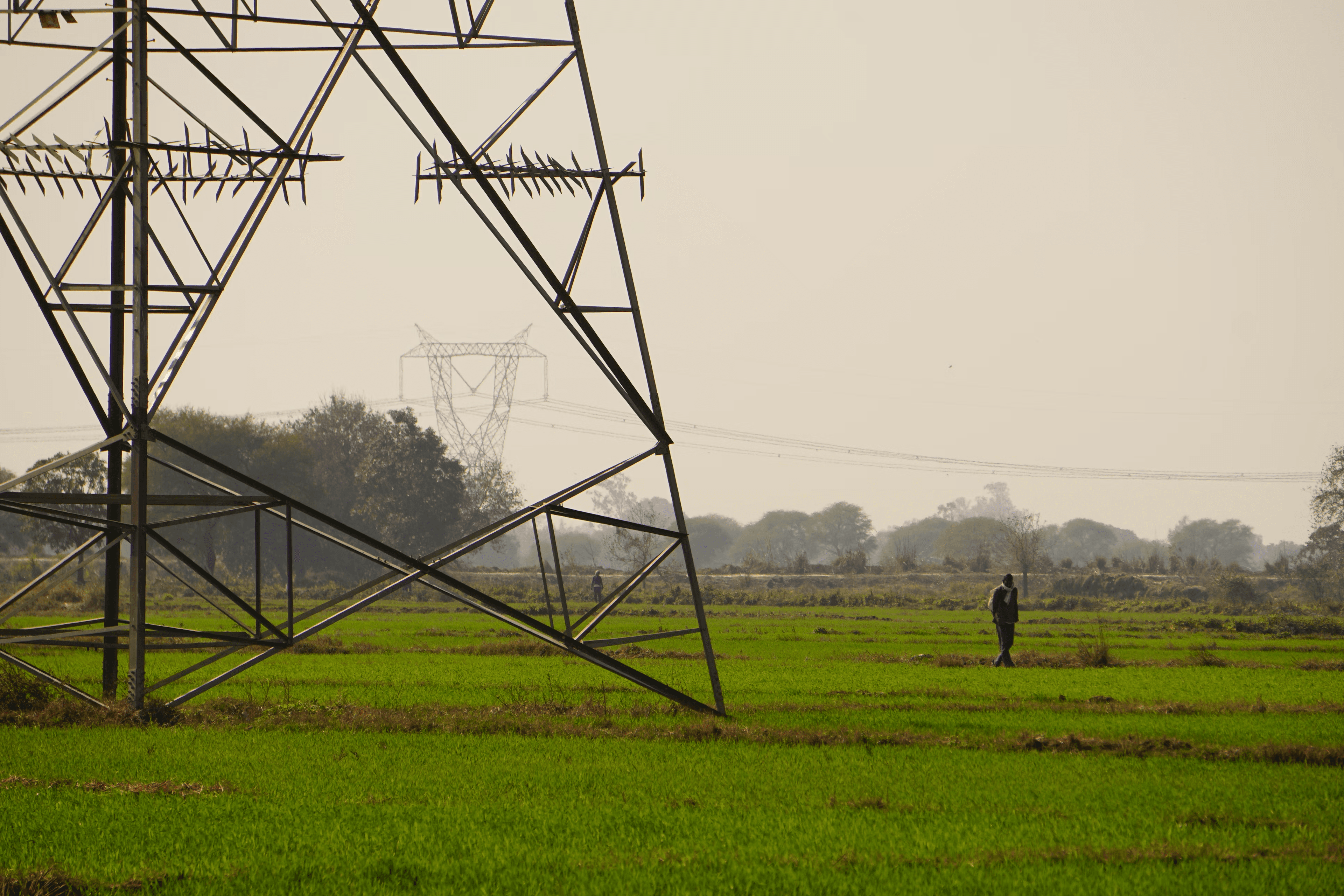 Power lines over green field
